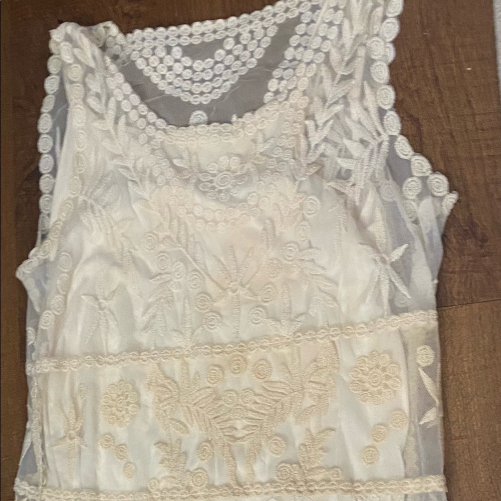 Express lace cream dress